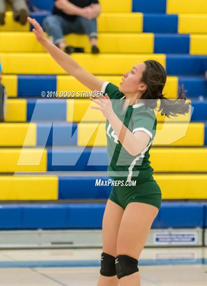 Thumbnail 1 in Archbishop Mitty vs. Sacred Heart Cathedral Preparatory (CIF-CCS Open Div. Semi-finals) photogallery.