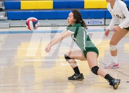 Thumbnail 3 in Archbishop Mitty vs. Sacred Heart Cathedral Preparatory (CIF-CCS Open Div. Semi-finals) photogallery.
