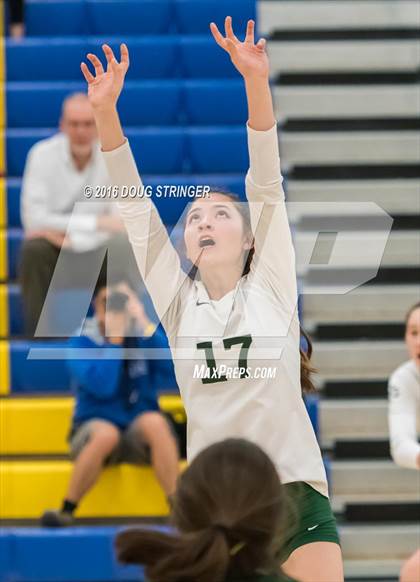Thumbnail 2 in Archbishop Mitty vs. Sacred Heart Cathedral Preparatory (CIF-CCS Open Div. Semi-finals) photogallery.