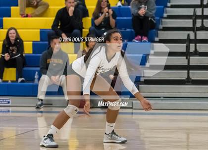 Thumbnail 1 in Archbishop Mitty vs. Sacred Heart Cathedral Preparatory (CIF-CCS Open Div. Semi-finals) photogallery.
