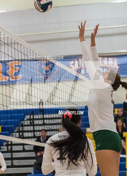 Thumbnail 3 in Archbishop Mitty vs. Sacred Heart Cathedral Preparatory (CIF-CCS Open Div. Semi-finals) photogallery.
