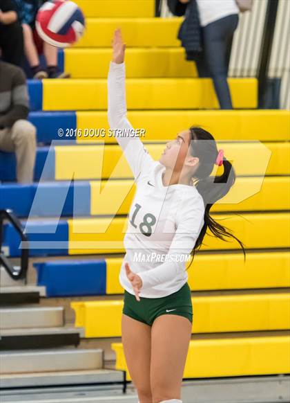 Thumbnail 3 in Archbishop Mitty vs. Sacred Heart Cathedral Preparatory (CIF-CCS Open Div. Semi-finals) photogallery.