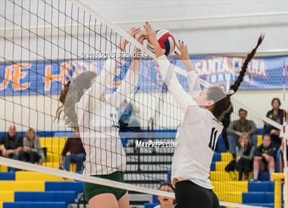 Thumbnail 2 in Archbishop Mitty vs. Sacred Heart Cathedral Preparatory (CIF-CCS Open Div. Semi-finals) photogallery.