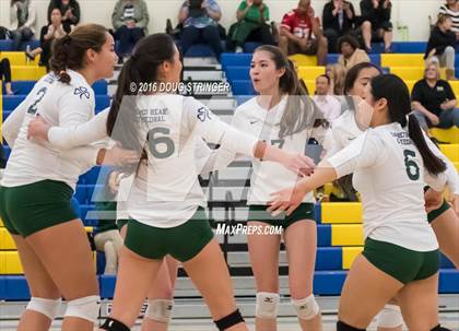 Thumbnail 2 in Archbishop Mitty vs. Sacred Heart Cathedral Preparatory (CIF-CCS Open Div. Semi-finals) photogallery.