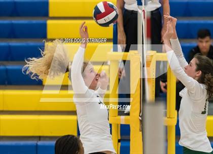 Thumbnail 1 in Archbishop Mitty vs. Sacred Heart Cathedral Preparatory (CIF-CCS Open Div. Semi-finals) photogallery.