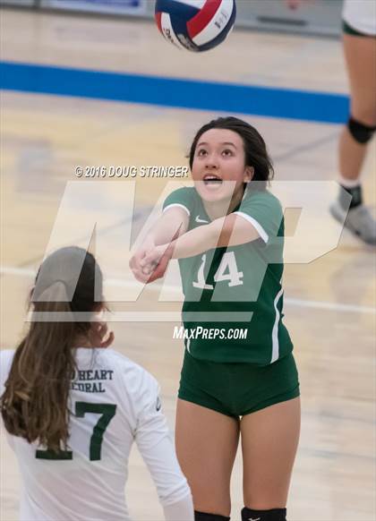 Thumbnail 1 in Archbishop Mitty vs. Sacred Heart Cathedral Preparatory (CIF-CCS Open Div. Semi-finals) photogallery.