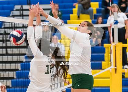 Thumbnail 1 in Archbishop Mitty vs. Sacred Heart Cathedral Preparatory (CIF-CCS Open Div. Semi-finals) photogallery.