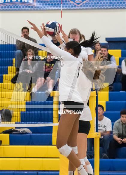 Thumbnail 1 in Archbishop Mitty vs. Sacred Heart Cathedral Preparatory (CIF-CCS Open Div. Semi-finals) photogallery.
