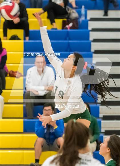 Thumbnail 3 in Archbishop Mitty vs. Sacred Heart Cathedral Preparatory (CIF-CCS Open Div. Semi-finals) photogallery.