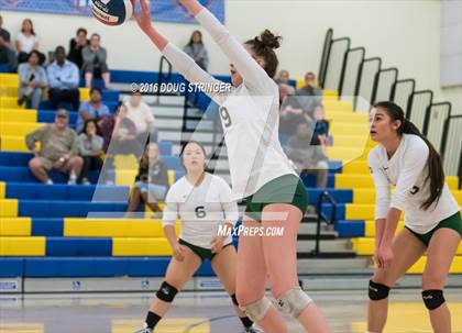 Thumbnail 1 in Archbishop Mitty vs. Sacred Heart Cathedral Preparatory (CIF-CCS Open Div. Semi-finals) photogallery.