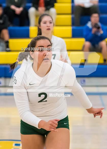 Thumbnail 2 in Archbishop Mitty vs. Sacred Heart Cathedral Preparatory (CIF-CCS Open Div. Semi-finals) photogallery.
