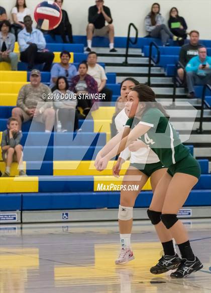 Thumbnail 1 in Archbishop Mitty vs. Sacred Heart Cathedral Preparatory (CIF-CCS Open Div. Semi-finals) photogallery.