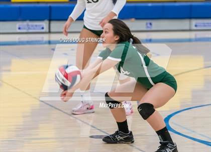Thumbnail 1 in Archbishop Mitty vs. Sacred Heart Cathedral Preparatory (CIF-CCS Open Div. Semi-finals) photogallery.