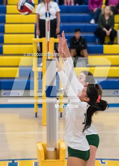 Thumbnail 1 in Archbishop Mitty vs. Sacred Heart Cathedral Preparatory (CIF-CCS Open Div. Semi-finals) photogallery.