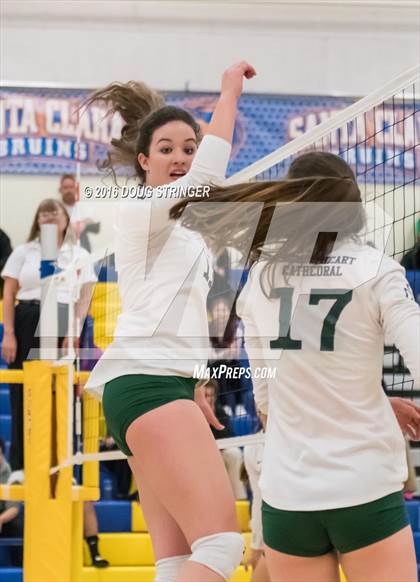 Thumbnail 1 in Archbishop Mitty vs. Sacred Heart Cathedral Preparatory (CIF-CCS Open Div. Semi-finals) photogallery.