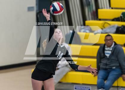 Thumbnail 3 in Archbishop Mitty vs. Sacred Heart Cathedral Preparatory (CIF-CCS Open Div. Semi-finals) photogallery.