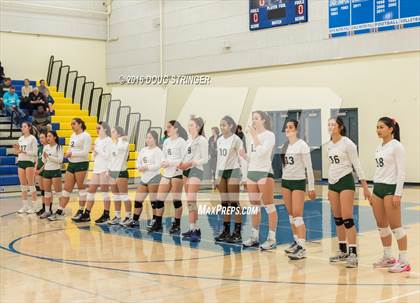 Thumbnail 1 in Archbishop Mitty vs. Sacred Heart Cathedral Preparatory (CIF-CCS Open Div. Semi-finals) photogallery.