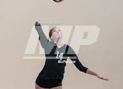 Thumbnail 1 in Archbishop Mitty vs. Sacred Heart Cathedral Preparatory (CIF-CCS Open Div. Semi-finals) photogallery.