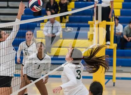 Thumbnail 3 in Archbishop Mitty vs. Sacred Heart Cathedral Preparatory (CIF-CCS Open Div. Semi-finals) photogallery.