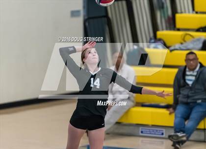 Thumbnail 2 in Archbishop Mitty vs. Sacred Heart Cathedral Preparatory (CIF-CCS Open Div. Semi-finals) photogallery.