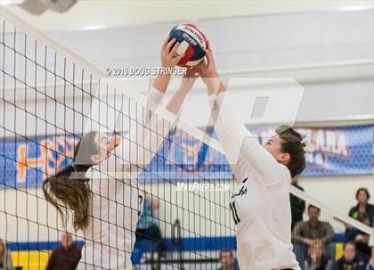 Thumbnail 3 in Archbishop Mitty vs. Sacred Heart Cathedral Preparatory (CIF-CCS Open Div. Semi-finals) photogallery.