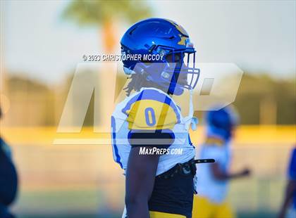 Thumbnail 1 in Gibbs @ Lakewood Ranch photogallery.
