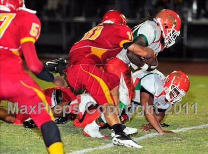 Thumbnail 3 in Ely @ Deerfield Beach photogallery.