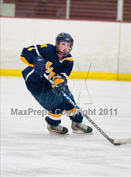Thumbnail 1 in Red Wing vs Fargo North (Schwan Cup Semifinal) photogallery.