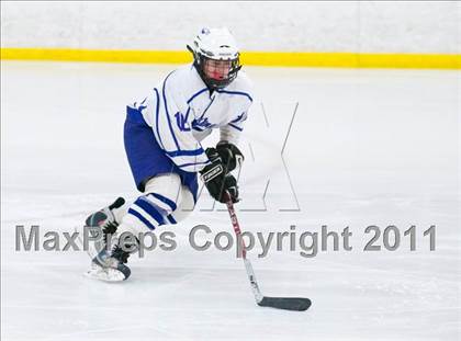Thumbnail 2 in Red Wing vs Fargo North (Schwan Cup Semifinal) photogallery.
