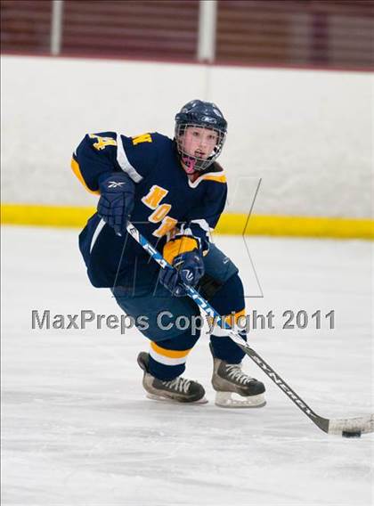 Thumbnail 2 in Red Wing vs Fargo North (Schwan Cup Semifinal) photogallery.