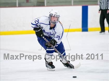 Thumbnail 1 in Red Wing vs Fargo North (Schwan Cup Semifinal) photogallery.