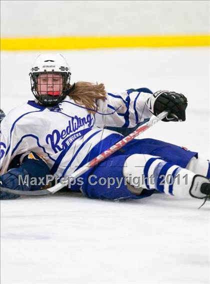 Thumbnail 3 in Red Wing vs Fargo North (Schwan Cup Semifinal) photogallery.