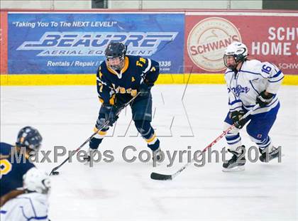 Thumbnail 3 in Red Wing vs Fargo North (Schwan Cup Semifinal) photogallery.