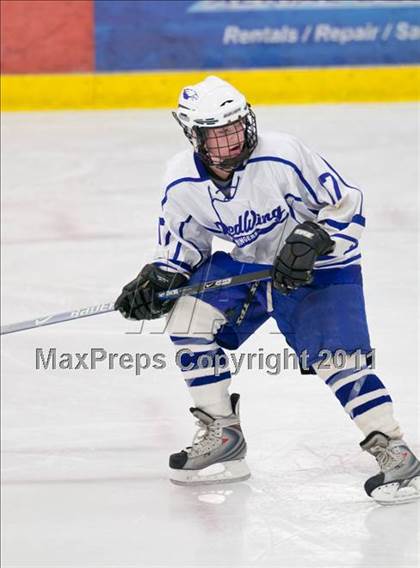 Thumbnail 1 in Red Wing vs Fargo North (Schwan Cup Semifinal) photogallery.