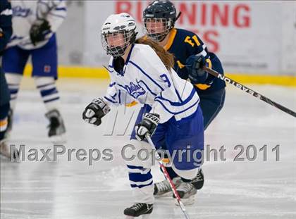Thumbnail 3 in Red Wing vs Fargo North (Schwan Cup Semifinal) photogallery.