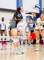 Photo from the gallery "Quartz Hill @ Lancaster"