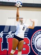 Photo from the gallery "Quartz Hill @ Lancaster"