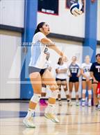 Photo from the gallery "Quartz Hill @ Lancaster"