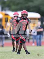 Photo from the gallery "Phoebus @ Hampton"