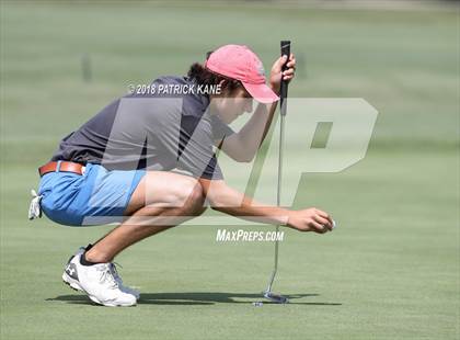 Thumbnail 3 in Arlington County Golf Match  photogallery.
