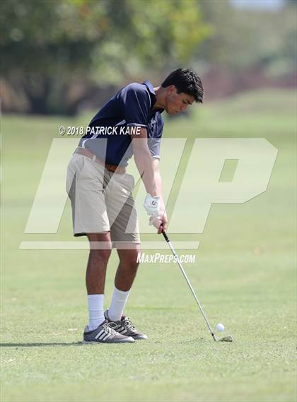 Thumbnail 2 in Arlington County Golf Match  photogallery.