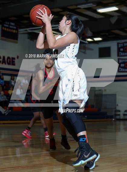Thumbnail 2 in Antelope vs West photogallery.