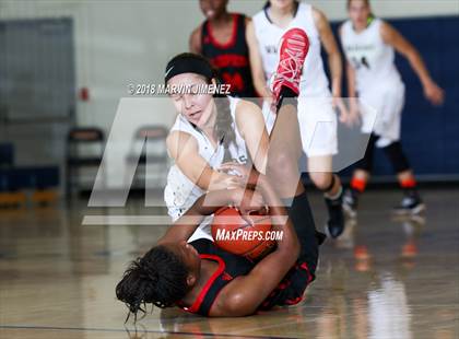 Thumbnail 1 in Antelope vs West photogallery.