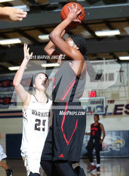 Thumbnail 3 in Antelope vs West photogallery.