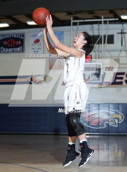 Thumbnail 1 in Antelope vs West photogallery.