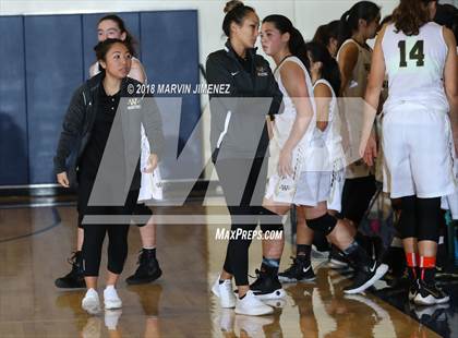 Thumbnail 2 in Antelope vs West photogallery.