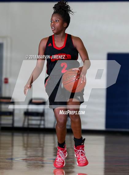 Thumbnail 2 in Antelope vs West photogallery.