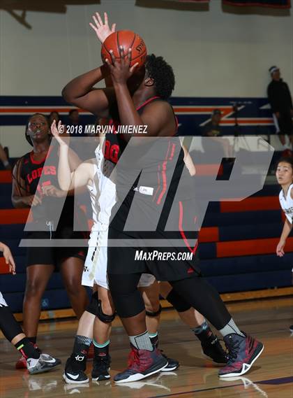Thumbnail 1 in Antelope vs West photogallery.