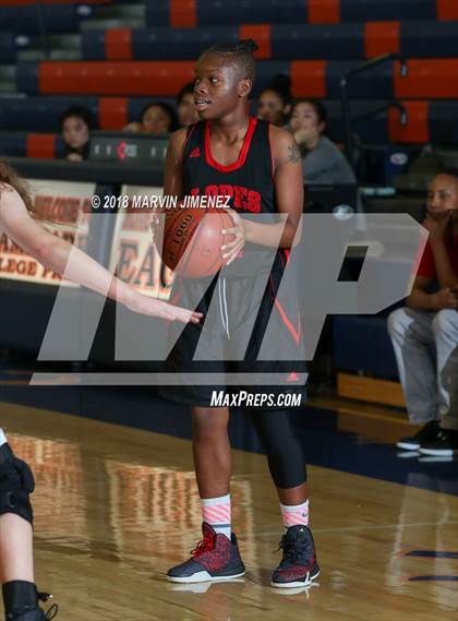 Thumbnail 2 in Antelope vs West photogallery.