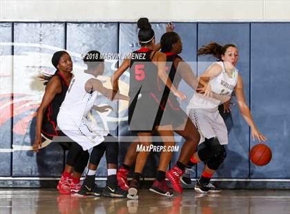 Thumbnail 3 in Antelope vs West photogallery.
